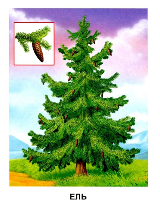Деревья13 (532x700, 137Kb)